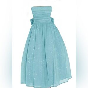 Women’s Strapless Sparkly Tulle Dress